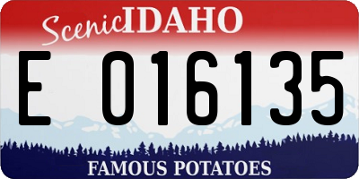 ID license plate E016135