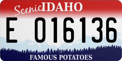 ID license plate E016136