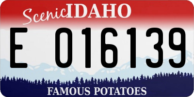 ID license plate E016139
