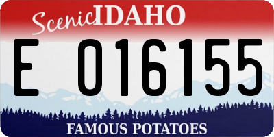 ID license plate E016155