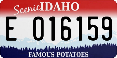 ID license plate E016159