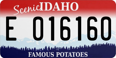 ID license plate E016160