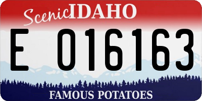 ID license plate E016163