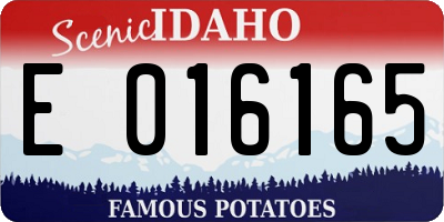 ID license plate E016165