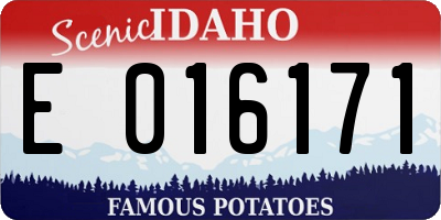 ID license plate E016171