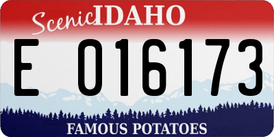ID license plate E016173