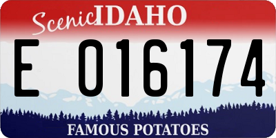 ID license plate E016174