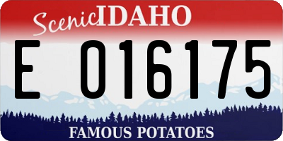 ID license plate E016175