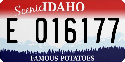 ID license plate E016177