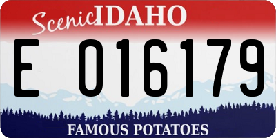 ID license plate E016179