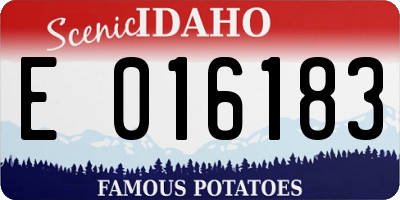 ID license plate E016183