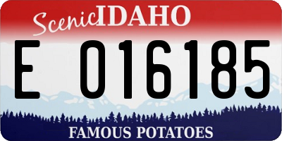 ID license plate E016185