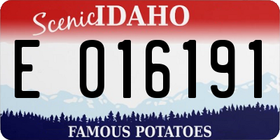 ID license plate E016191