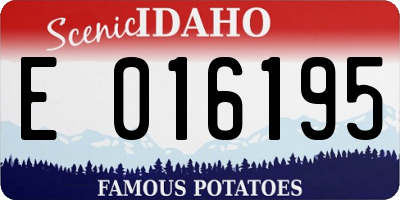 ID license plate E016195