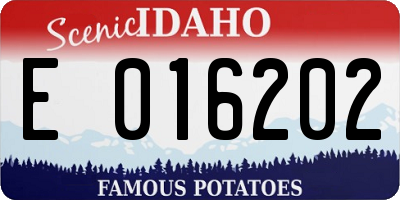 ID license plate E016202