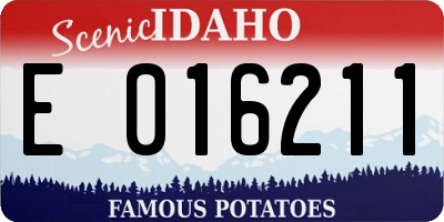 ID license plate E016211