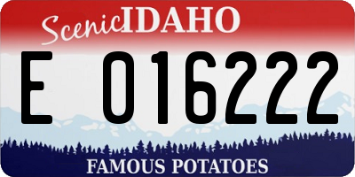 ID license plate E016222
