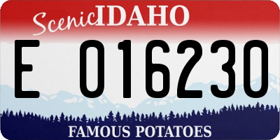 ID license plate E016230