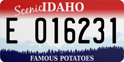 ID license plate E016231