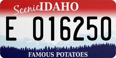 ID license plate E016250