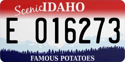 ID license plate E016273