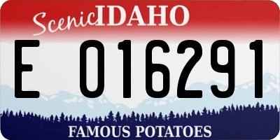 ID license plate E016291