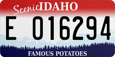 ID license plate E016294