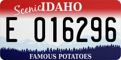 ID license plate E016296