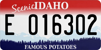 ID license plate E016302