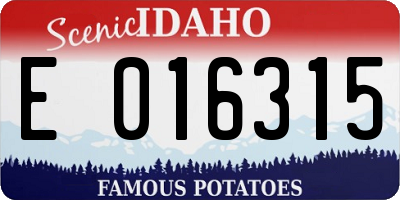 ID license plate E016315