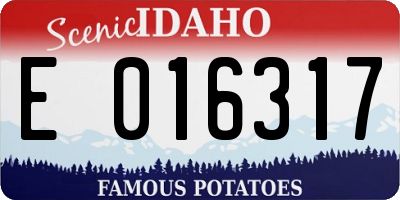 ID license plate E016317