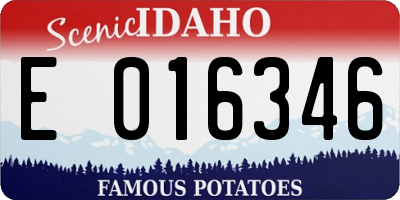ID license plate E016346