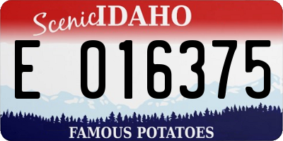 ID license plate E016375