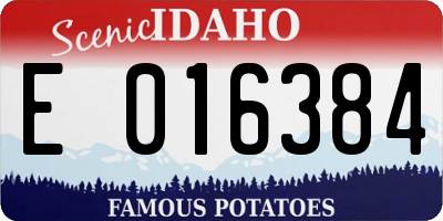 ID license plate E016384