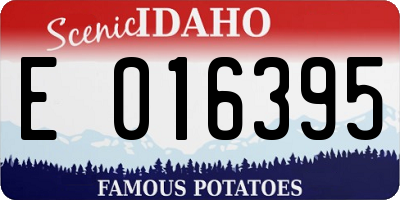 ID license plate E016395