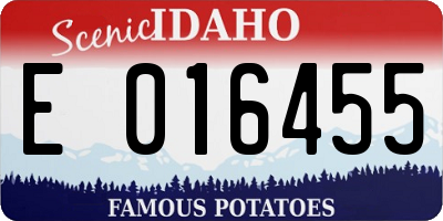 ID license plate E016455