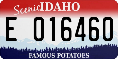 ID license plate E016460