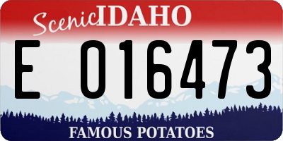 ID license plate E016473