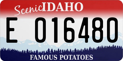 ID license plate E016480