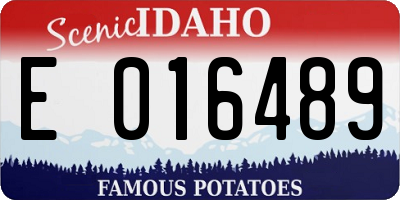 ID license plate E016489