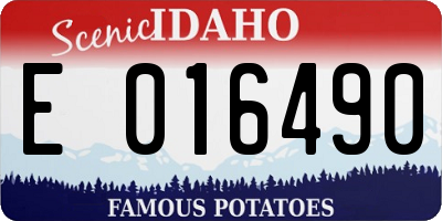 ID license plate E016490