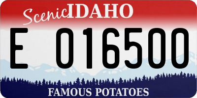 ID license plate E016500