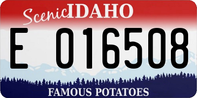 ID license plate E016508