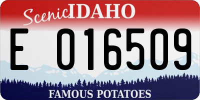 ID license plate E016509
