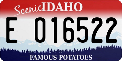 ID license plate E016522