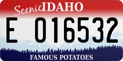 ID license plate E016532