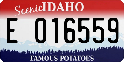 ID license plate E016559