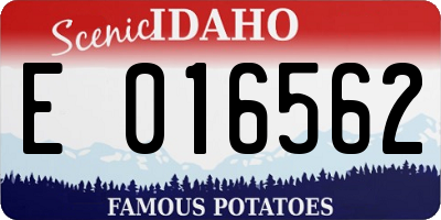 ID license plate E016562