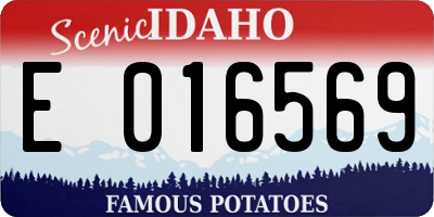 ID license plate E016569