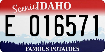 ID license plate E016571